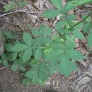 선학초등학교 이미지