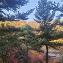 가을 숲으로 가자 | [가을 명소] 인생 단풍샷 건지러 가자! 곤지암 화담숲 예약 꿀팁부터 모노레일, 스탬프 투어 후기까지!🍁
