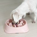 오늘도멍냥 이미지