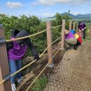 2025년 6월 오름모니터링 행사 이미지