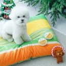 8콘(주) | 8ALCON 8콘 앱 출시기념, 자연식 화식 오리AND닭 푸드 겟!