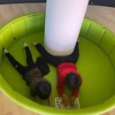 신길중학교 이미지