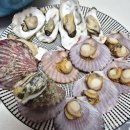 5단지방앗간 | 천북굴단지맛집 보령 방앗간굴수산, 겨울제철 석화굴찜요리 후기