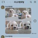 미스터몽