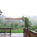 더존프롤로의원 이미지