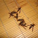 어머니소탕집 이미지