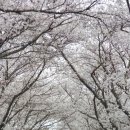 왕인박사유적지 주차장 이미지