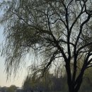 호두랑파이랑 | 양재 맛집 호두파이 무설탕 디저트 선물 | 호두까끼형제 케이크 추천 택배 가능