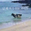 (주)지에스상사 | 심각한 뜨개중독입니다