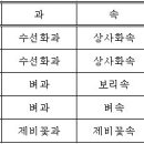 식물분류체계 이미지