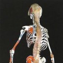 올바른필라테스&PT 이미지