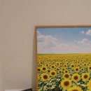 동희산업김천공장 | 실내온도 관리 필수템! YES 영이과학기기 체감온도계 겸 온습도계 사용 후기