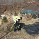 백두농장2 이미지