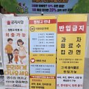 "청주 대형 키즈카페 점핑고 후기, 아이가 집에 안 가려던 이유"