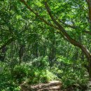 동방낚시터 | 경기도 양주 캠프닉 장소 도락산 계곡 광백저수지 차박지 답사