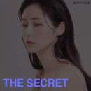 더시크릿의원
