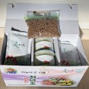천년초