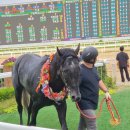 (주)코리아세븐 대천중앙점 | 제 26회 농림축산식품부장관배 후기. (by 슈퍼 토스카나)