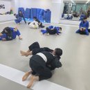 화랑합기도 주짓수 금촌도장 | 금촌화랑 화랑합기도 주짓수, 금촌의 유일한 무술도장