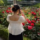 중랑구 장미축제 후기｜월요일에도 사람 많았던 장미터널 꽃구경