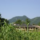 어린시절의 추억 - 한남동에 가고 싶다 이미지