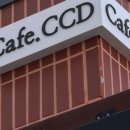 카페CCD 이미지