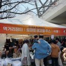꽃보다프리마켓협동조합 | 2025 부산 대저 토마토 축제(feat.부산가볼만한곳,다양한볼거리 후기)