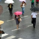 정직한 공인중개사 이미지