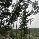 사르데냐 오토캠핑장 이미지