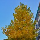 장말어린이공원 이미지