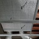 상업용 99 이미지