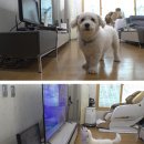 영원농장 이미지