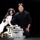 한국특수탐지견센터 이미지