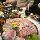 해신수산 네이버블로그