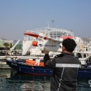 동해-단속-50 이미지