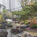 시영아파트-중앙 이미지