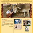 혜지경농장 | 애니멀커뮤니케이터 아멜리아 킨케이드 초청을 논의 중이예요.