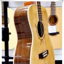 파루시아 이미지