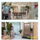 강남 더 뷰티 성형외과의원 네이버블로그