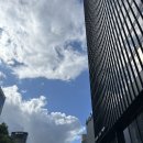 삼일빌딩 | 종각 낮술 가능한 와인바 탭샵바 청계천삼일빌딩점 N번차 방문 후기