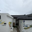 짱민박 | [통영 비진도] 성수기 10만원 비진도 가성비 민박 “카멜리아민박” 내돈내산 후기