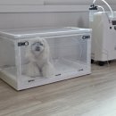 선닥터동물병원 | 강아지 산소방 호흡곤란에 닥터오투 산소발생기 사용해봄