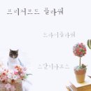 달플로랄디자인 이미지