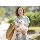 스터디독스쿨 이미지