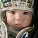 복순이네회수산 이미지