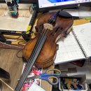 수원-1781 이미지