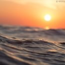 선유도리조트 이미지