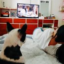 주희침구 이미지