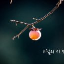 11월의 시 모음 이미지