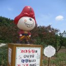 가야농장 이미지